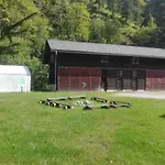 호스텔 Black Sheeps Adventures *