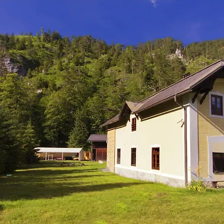 Black Sheeps Adventures 호스텔 윌달펜