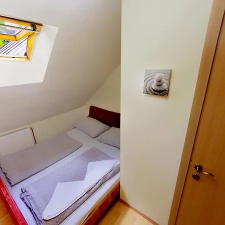 Black Sheeps Adventures *