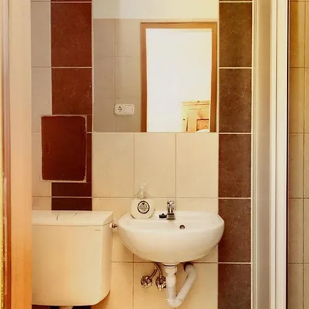 호스텔 Black Sheeps Adventures