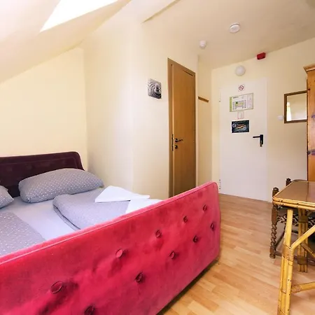 Black Sheeps Adventures Albergue *