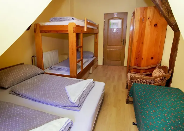 Hostel Black Sheeps Adventures