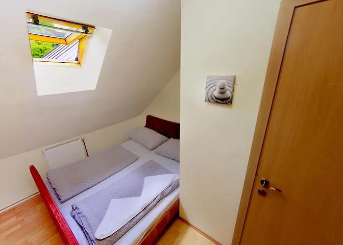 Black Sheeps Adventures *