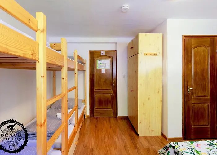 Hostel Black Sheeps Adventures *