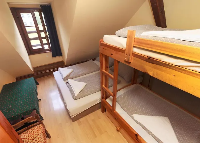 Hostel Black Sheeps Adventures