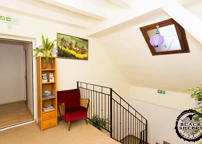 Black Sheeps Adventures *