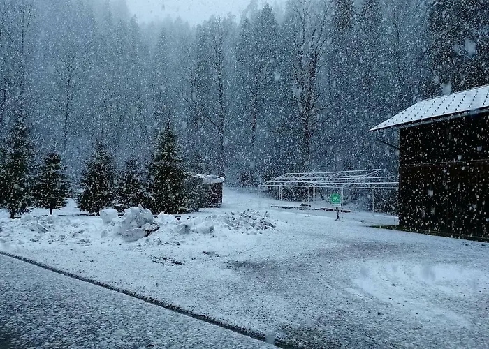 Hostel Black Sheeps Adventures Wildalpen